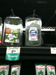 Green Winter Farms' basil at Carr-Safeway grocery stores